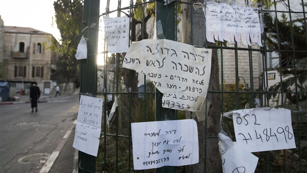 בג'ונגל של שוק השכירות הישראלי, הממשלה נעדרת