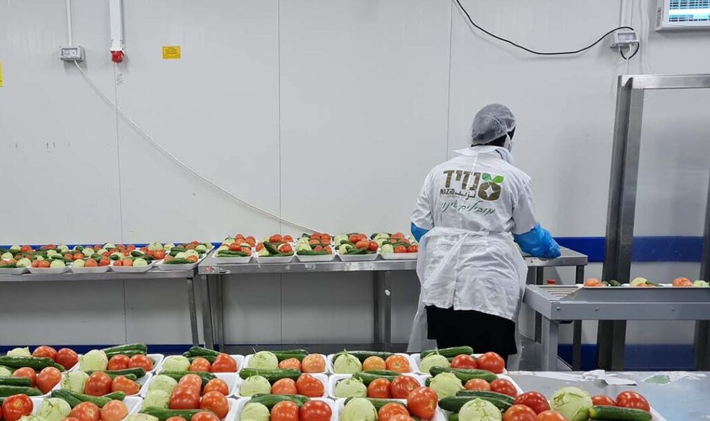 מנכ"לית המועצה לכפרים הלא מוכרים: "הממשלה עושה הכל כדי ש-180 אלף אנשים לא יעבדו"