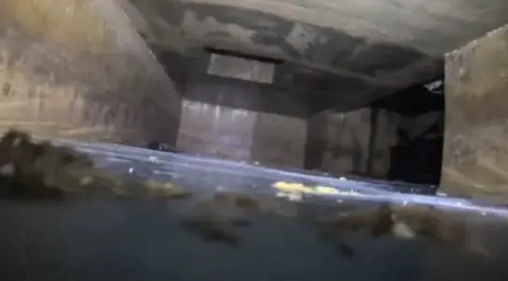 סוד אפל נחשף מתחת לג'קוזי: זוג גילה מרתף מצמרר בן 100 שנה