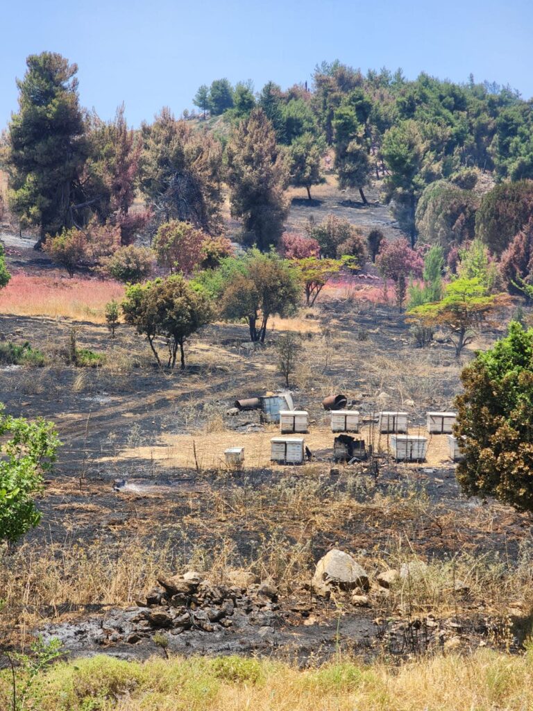 חיזבאללה: הצפון הפך לאזור המלחמה – והעתיד קודר