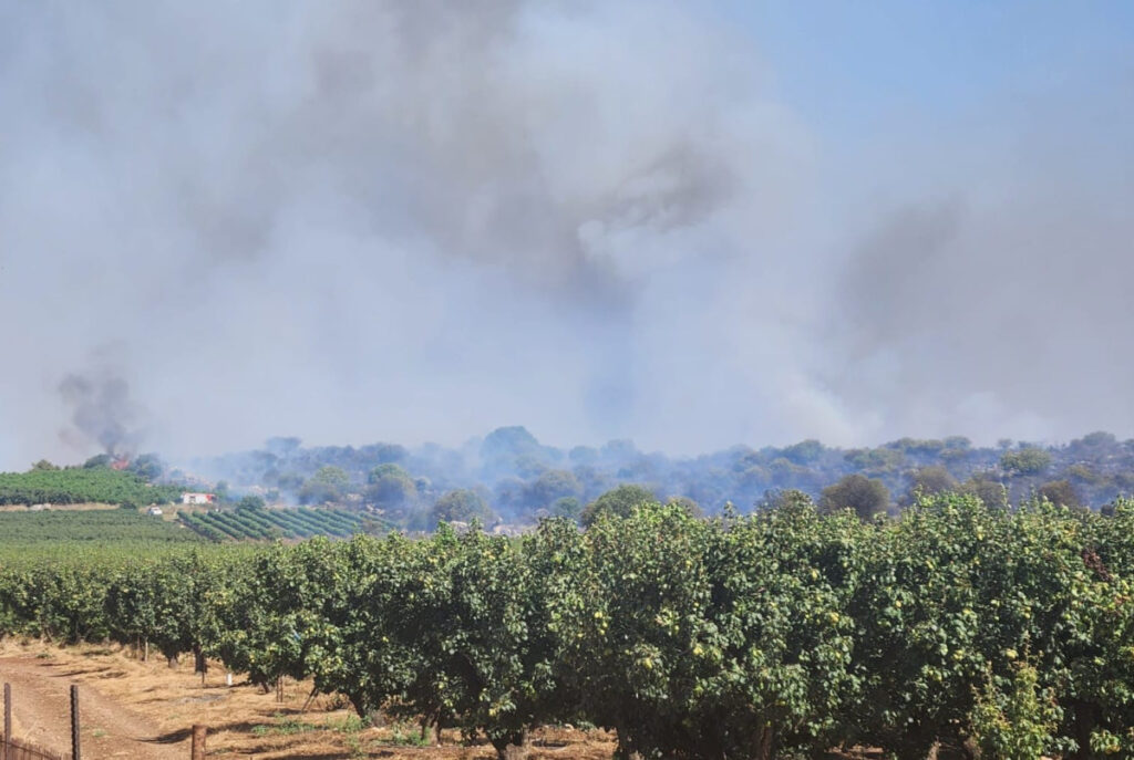 כרם בצפון נשרף כתוצאה מכטב"ם: "עבודה של שנים ירדה לטימיון"