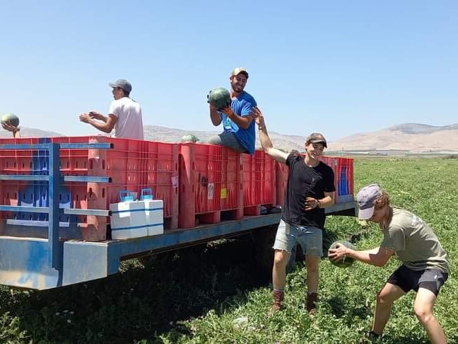 בני נוער עובדים בחופש הגדול: כל הזכויות, התנאים והמגבלות