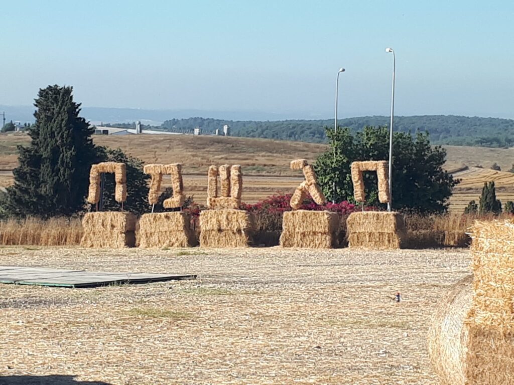והגית בו יומם ולילה: אירועי תיקון ליל שבועות ייערכו ברחבי הארץ