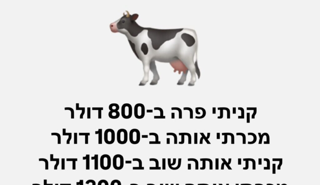 חידה מתמטית על פרה מטריפה את הרשת – האם תצליחו לפתור אותה?