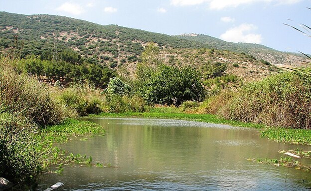 להשתכשך בשקט: המעיין הצפוני הזה הוא נווה מדבר מוקף בירוק
