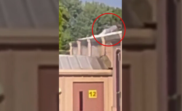 תיעוד: המתנקש זוחל על הגג לפני הירי – והקהל מזהיר את…
