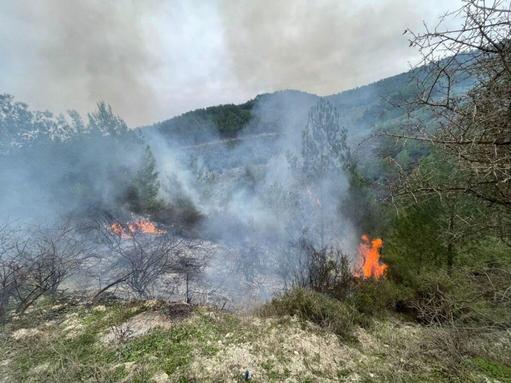 בצל ההמתנה לתגובת חיזבאללה, בצפון זועקים: "הממשלה לא מחוברת אלינו, הפסדנו בגדול"