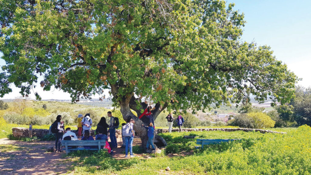 פארק רמת הנדיב מציג: העצמת הקהילה בדרך הטבע
