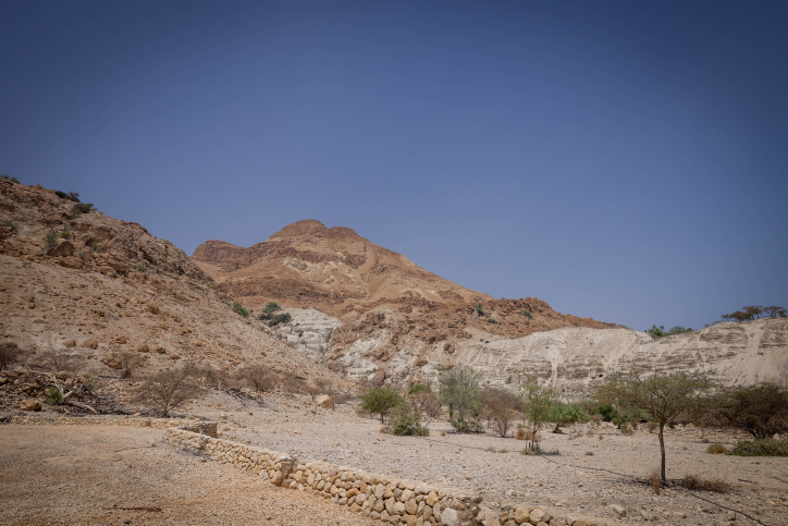 מזג האוויר: חם, כרגיל לעונה