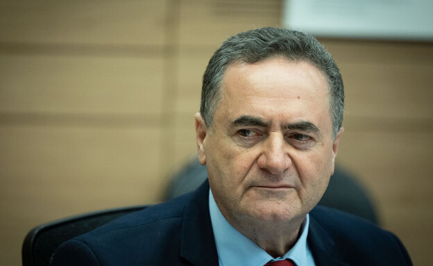 "ציוצים ילדותיים": מומחי הסברה נגד שר החוץ כ"ץ
