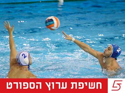 הענף בסכנה? המספרים מאחורי משבר הכדורמים