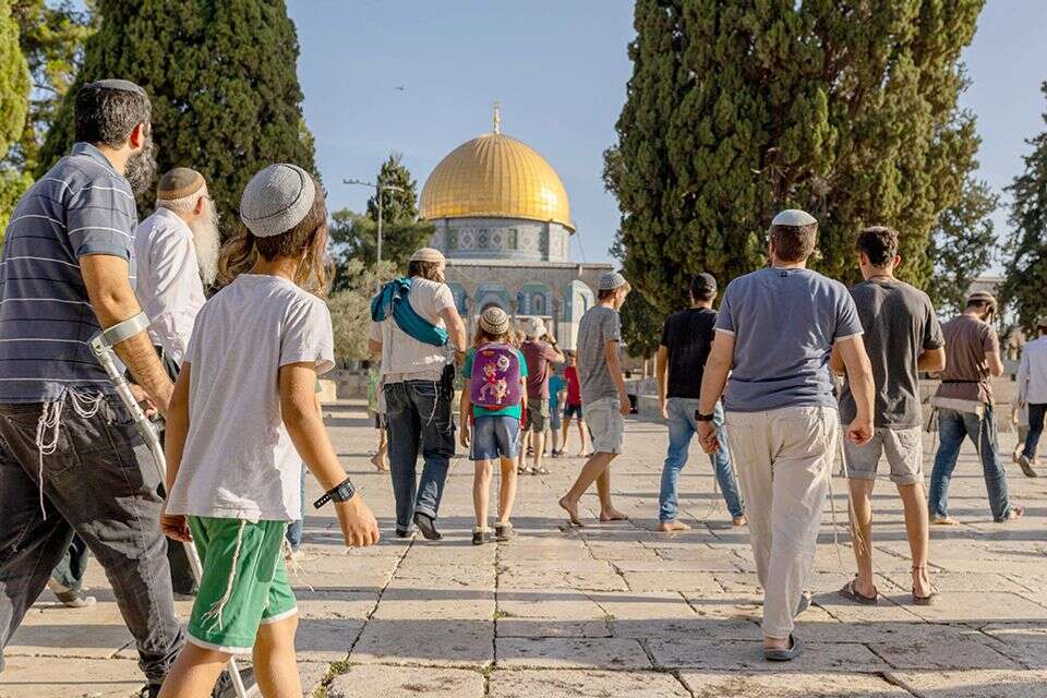 מחקר חושף: צניחה בתמיכה בעליה להר הבית