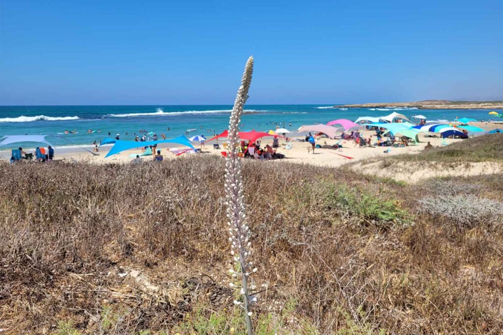 מזג האוויר: טפטופים וגשם מקומי קל בצפון ובמישור החוף