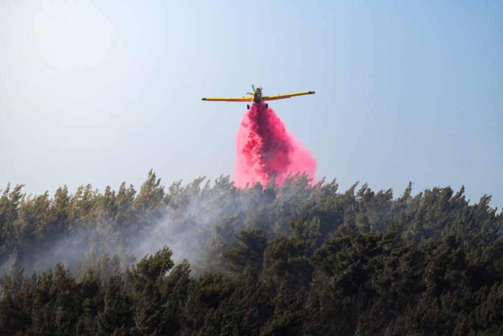 רשות הטבע והגנים: כ-340 אלף דונם נשרפו מתחילת המלחמה