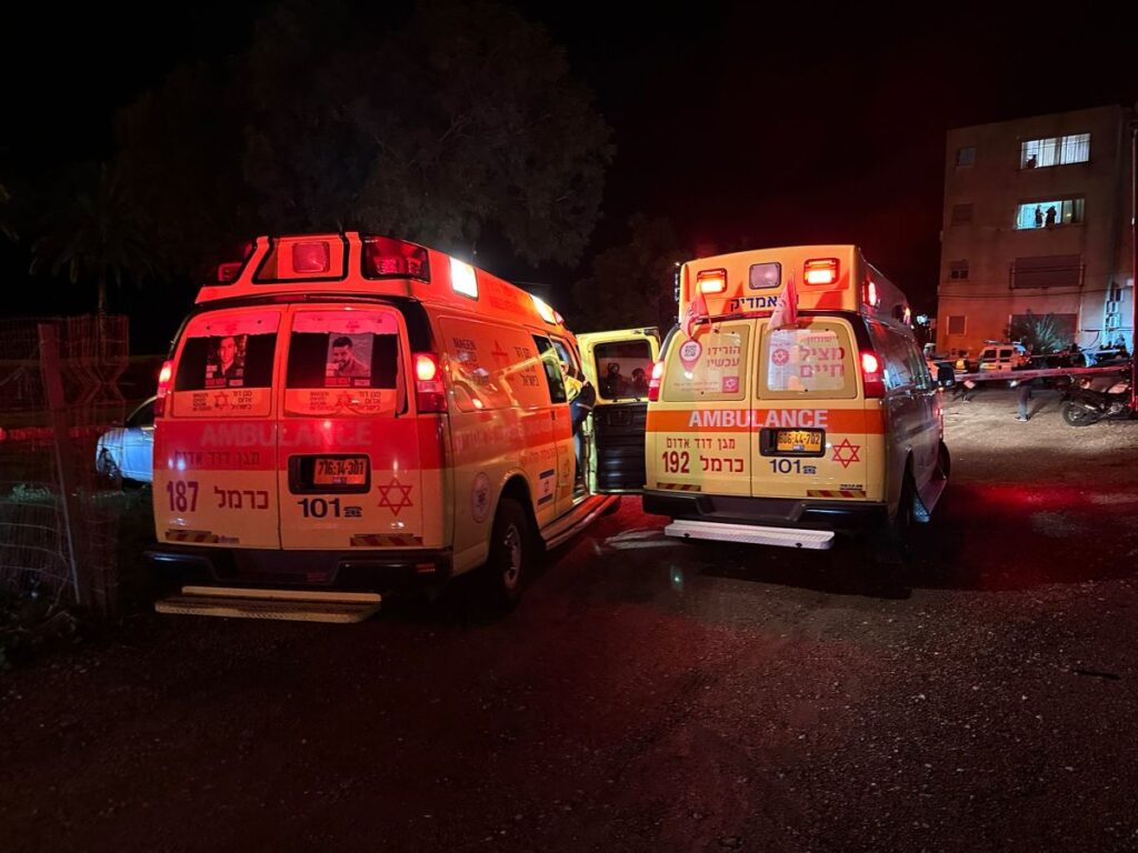 "רצח את אימו בדקירות סכין": פוענח רצח האישה בחיפה