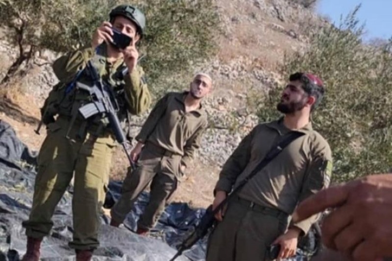 עימותים בעונת המסיק: פלסטינים מהכפר בורין טוענים שוב שמתנחלים תקפו אותם