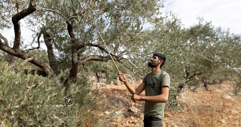 חייהם של הפלסטינים בגדה הם טריוויאליים ביחס לצבא הישראלי השולט בהם – חוות דעת