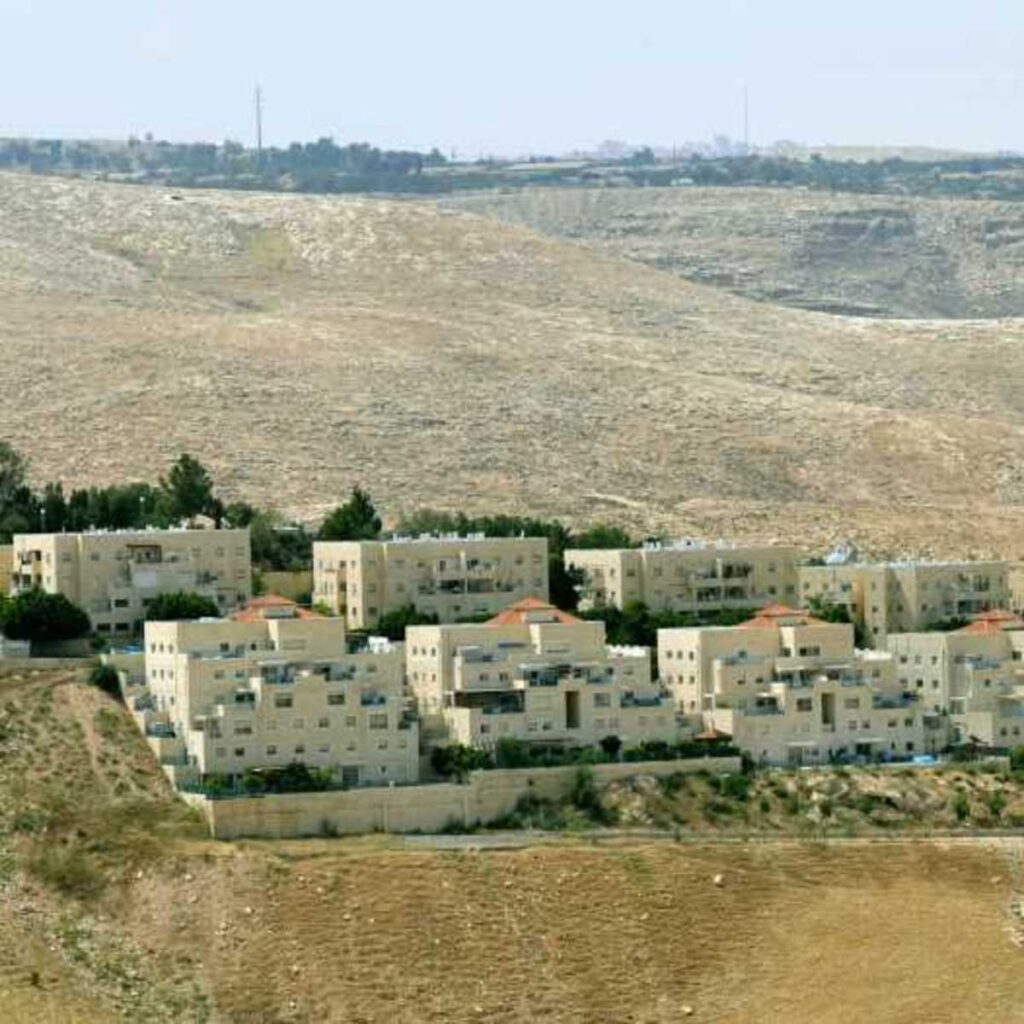 בכירי יש"ע מרוצים מניצחונו של טראמפ: "תור הזהב להתיישבות"