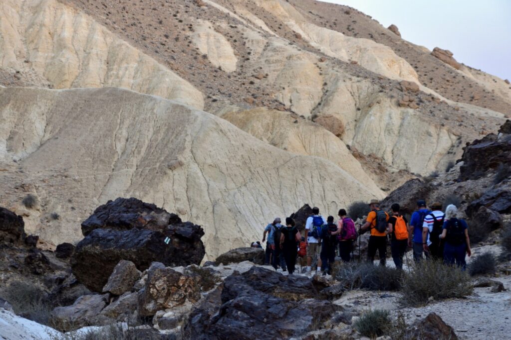 גושי סלע ענקיים, מצוקים, מערות ויעלים: המלצה לטיול במכתש רמון