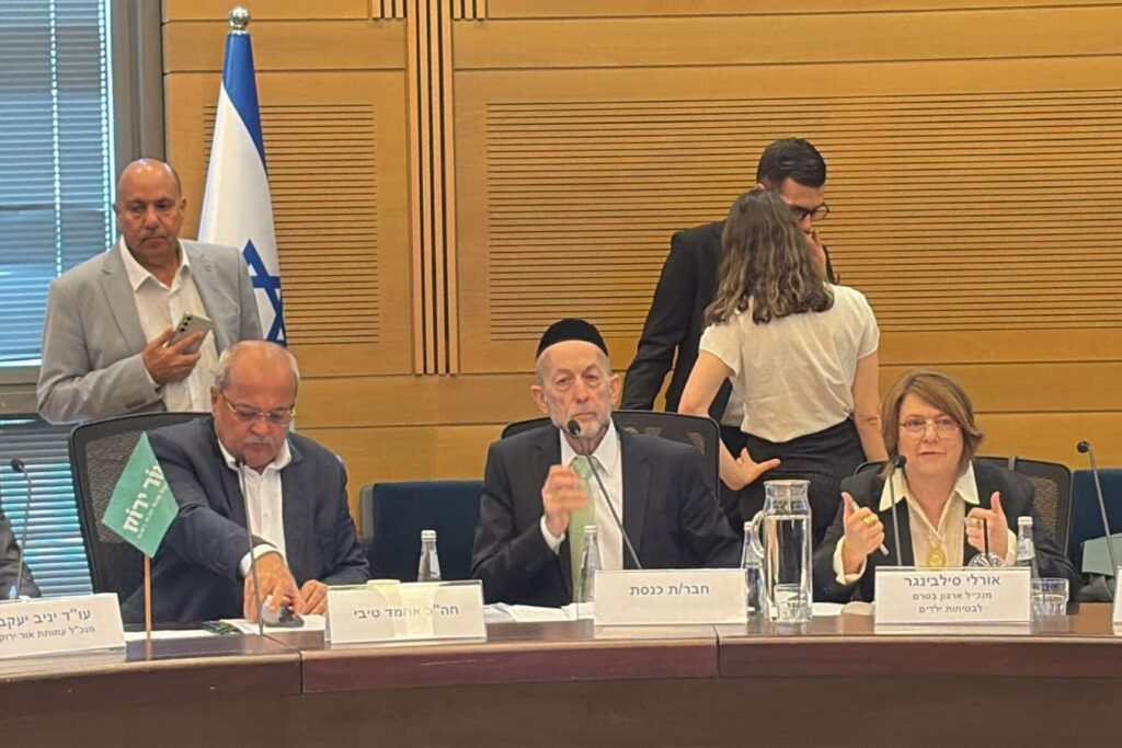 70% מהילדים שנהרגים בתאונות הם ערבים, אף שהם רק רבע מהילדים בישראל