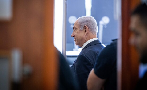 N12 – האסטרטגיות של התביעה ושל ההגנה