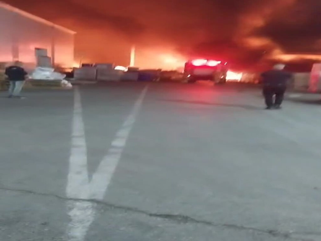 "הופקרנו בפעם השנייה״: תופעת הפרוטקשן בגליל מתרחבת