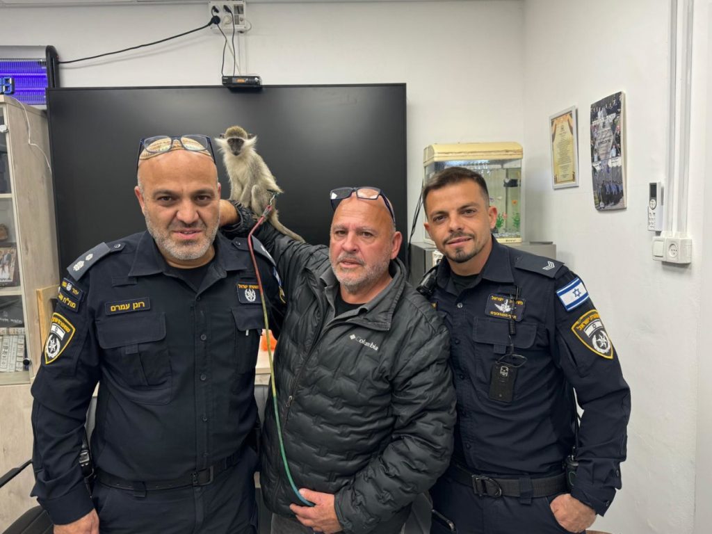 סרטון חדש של קוף בכלוב מציב אתגר למשטרה