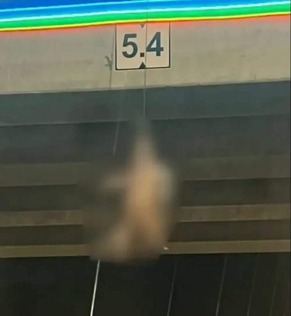 תושב הפזורה נעצר לאחר שתלה פגר של צבוע מגשר סמוך לבאר שבע