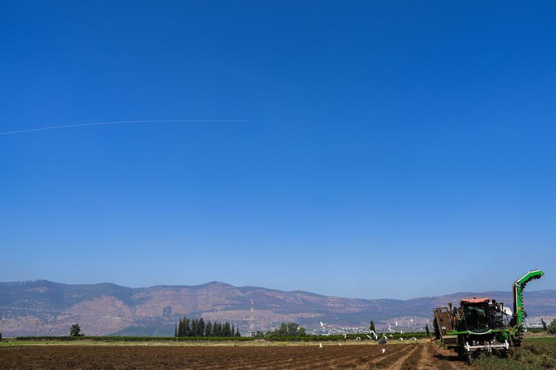 מזג האוויר: חם מהרגיל עד שרבי ברוב אזורי הארץ