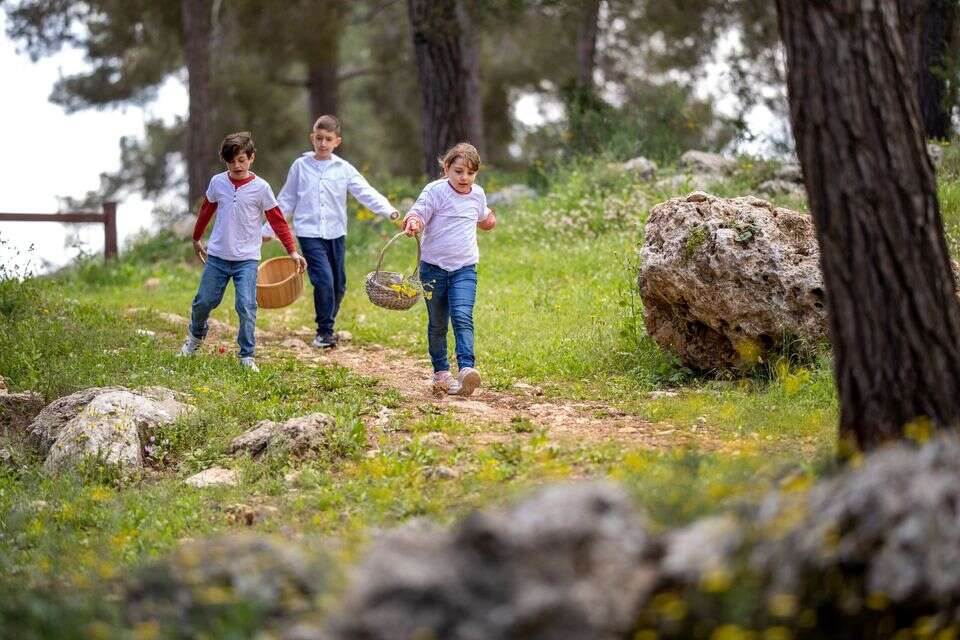 לשחק בחוץ זה מסוכן לילדים – אבל אתם חייבים לתת להם לעשות את זה